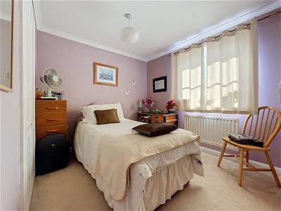 Picture 7